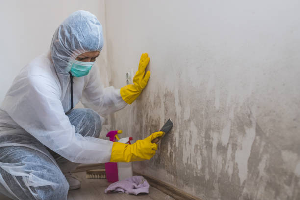 Best Biohazard Mold Removal  in West Fargo, ND