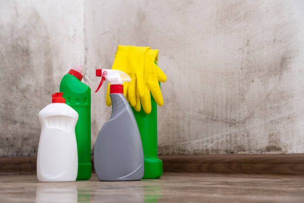 West Fargo, ND Mold Prevention & Removal  Company